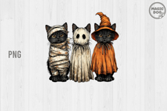 Halloween Black Cat Pumpkin|Halloween Ghosts Cat Spooky Product Image 1