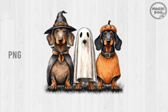 Halloweenie Dachshund Ghost|Halloween Ghost And Witch Weenie Product Image 1