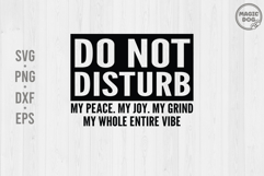 Do Not Disturb My Peace My Joy|Funny Introvert Quote Product Image 1