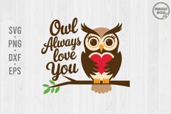 Owl Always Love You|Owl Quotes|Valentine Owl|Valentine&#039;s Day Product Image 1