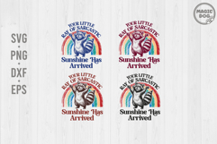 Your Little Ray Of Sarcastic Sunshine Has Arrived Raccoon Product Image 1