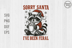 Sorry Santa I&#039;ve Been Feral Raccoon|Retro Raccoon Santa SVG Product Image 1