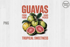 Vintages Retro Guavas|Summer Garden, Fruit Lover PNG Product Image 1
