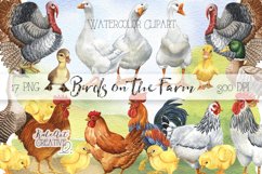 Watercolor Birds on the Farm Clipart. Poultry Yard Clipart. Product Image 1