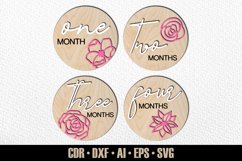 12 Floral Monthly Baby Milestones SVG, Set #16 Product Image 4