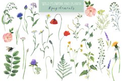 Watercolor Wild Flowers Clipart. Wild Plants Frame Clipart. Product Image 2