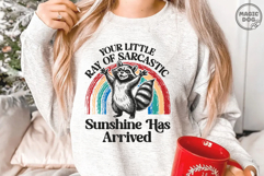 Your Little Ray Of Sarcastic Sunshine Has Arrived Raccoon Product Image 2