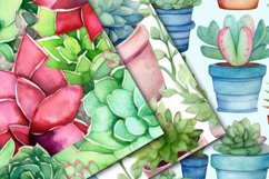 Watercolor Succulents Digital Papers - Seamless Patterns Product Image 2