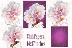 Black girl clipart,Girl illustrations,African American girl Product Image 5