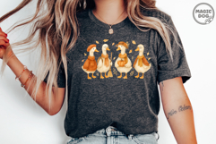 Fall Goose|Cozy Season Fall Gooses|Retro Autumn Goose PNG Product Image 3