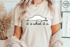 It Is What It Is Funny Life Quote|Goose Meme|Sarcasm SVG Product Image 3
