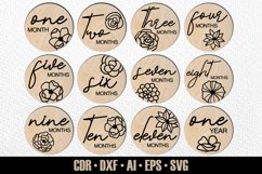 12 Floral Monthly Baby Milestones SVG, Set #16 Product Image 1