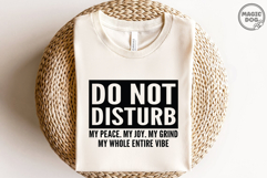 Do Not Disturb My Peace My Joy|Funny Introvert Quote Product Image 2