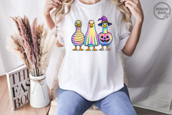 Coquette Halloween|Iridescent Ghost Goose Boo Goose Pumpkin Product Image 4