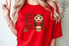 Owl Always Love You|Owl Quotes|Valentine Owl|Valentine&#039;s Day Product Image 4