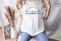 It Is What It Is Funny Life Quote|Goose Meme|Sarcasm SVG Product Image 4