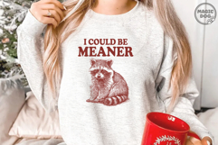 I Could Be Meaner Raccoon, Vintage Raccoon Sassy Quote SVG Product Image 4