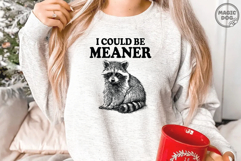 I Could Be Meaner Raccoon, Vintage Raccoon Sassy Quote SVG Product Image 5