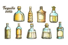 Stylish Color Tequila Glass Bottle Set Vector Product Image 1