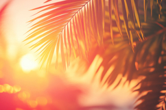 Sunny Palm Tree Background Wallpaper Product Image 1