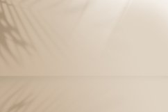 10 Aesthetic - Background Product Image 5