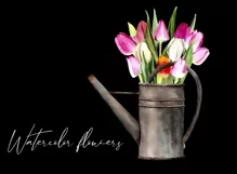 Watercolor tulip clipart in watering can. Spring flowers PNG Product Image 5