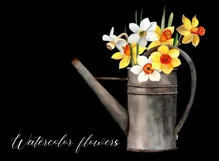 Watercolor narcissus clipart in watering can. Spring flowers Product Image 5