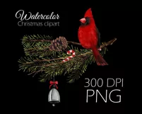 Watercolor Christmas clipart with cardinal birds Product Image 4