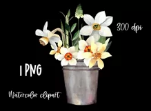 Watercolor spring flower clipart. Daffodils PNG sublimation Product Image 3