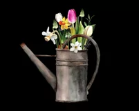 Watercolor spring flowers clipart in watering can.Floral PNG Product Image 3