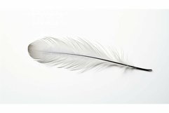 minimalist blank white background Product Image 1