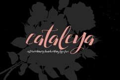 Web Font Cataleya Typeface Full Product Image 3