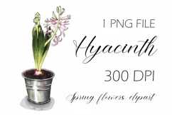 Spring flowers clipart. Hyacinth PNG Product Image 1
