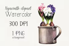Spring flowers clipart. Hyacinth PNG Product Image 1