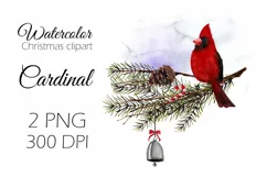 Watercolor Christmas clipart with cardinal birds Product Image 1