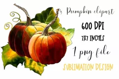 Pumpkin clipart | PNG for sublmation Product Image 1