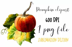 Pumpkin clipart | PNG for sublmation Product Image 1