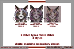 Cat in Hoodie Photostitch Machine Embroidery Fashion Design Product Image 1