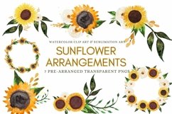 Sunflower Arrangements Watercolor Clip Art for Sublimation Product Image 1