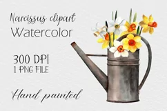 Watercolor narcissus clipart in watering can. Spring flowers Product Image 1
