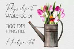 Watercolor tulip clipart in watering can. Spring flowers PNG Product Image 1