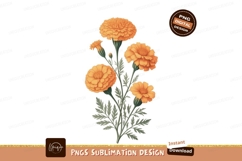 Orange Marigold Flowers Botanical Illustration image Product Image 1