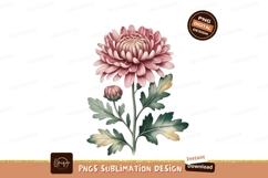 Pink chrysanthemum bloom with bud green Product Image 1