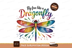 Colorful dragonfly wings spread wide rainbow insect Product Image 1