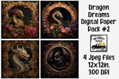 Dragon Dreams Digital Papers #2 - 4 Papers Product Image 1