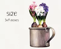 Spring flowers clipart. Hyacinth PNG Product Image 3