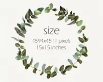 Eucalyptus wreath clipart. PNG. Hand drawn illustration Product Image 4