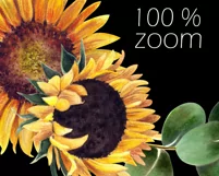 Watercolor sunflower wreath clipart. Sublimation PNG Product Image 3