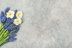 Floral template. Spring flowers tone background stock photo Product Image 1