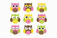 Expressive Owls Digital Clipart DC2B Product Image 1